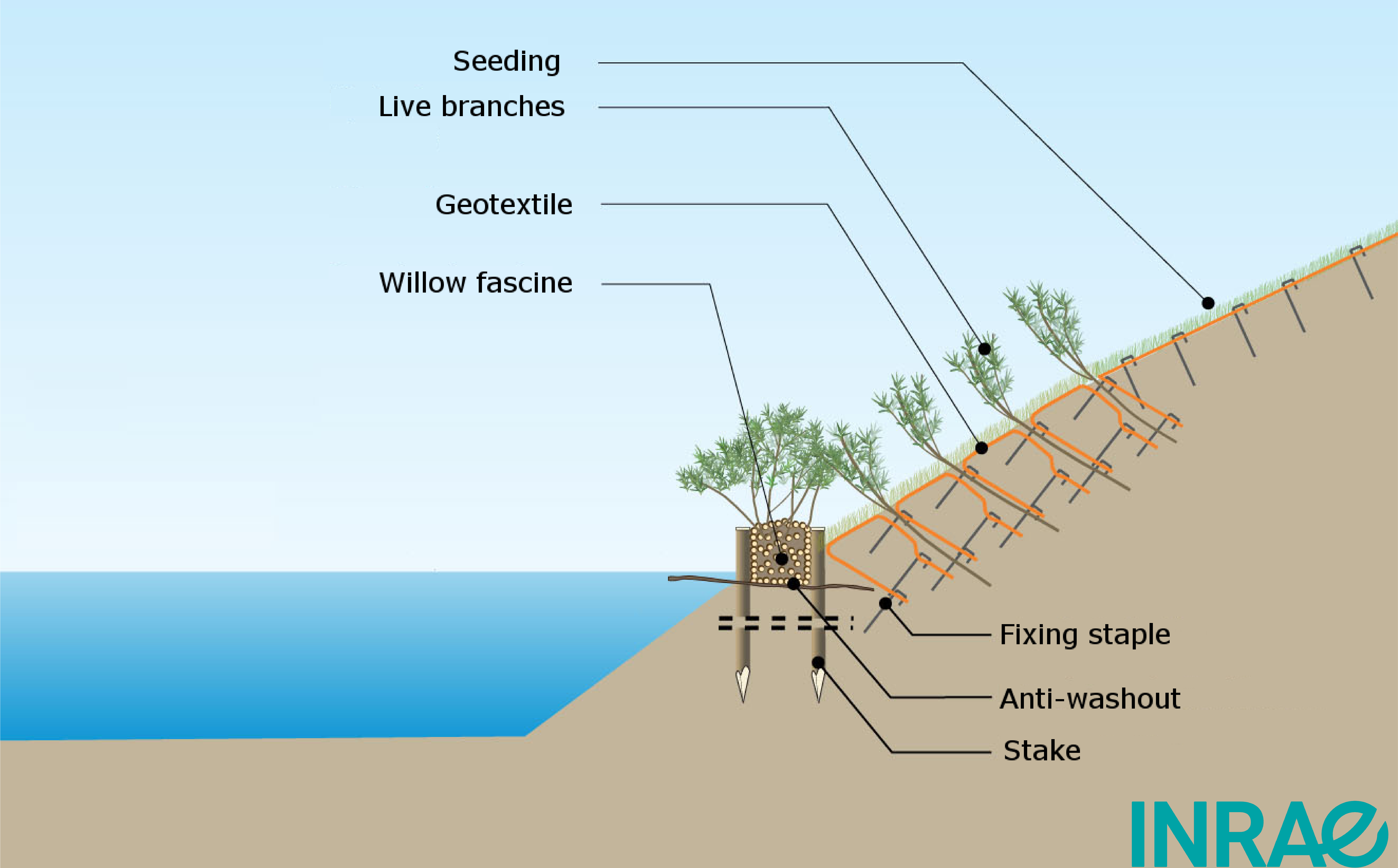 river bank diagram